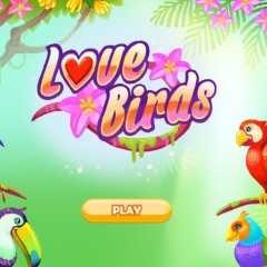 Love Birds