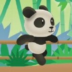 Panda Running